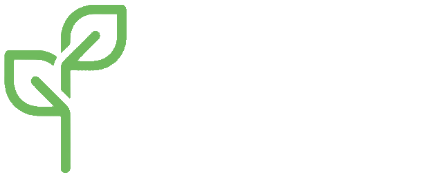 Huge Growth